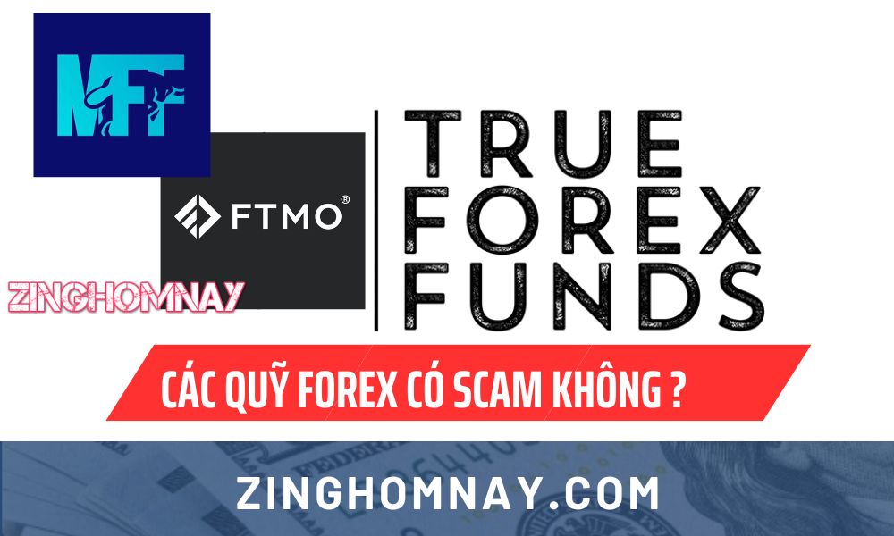 Các Quỹ forex FTMO và MFF có scam không